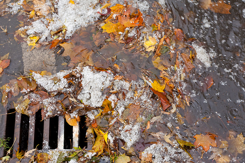 Blocked Drains Northern Beaches